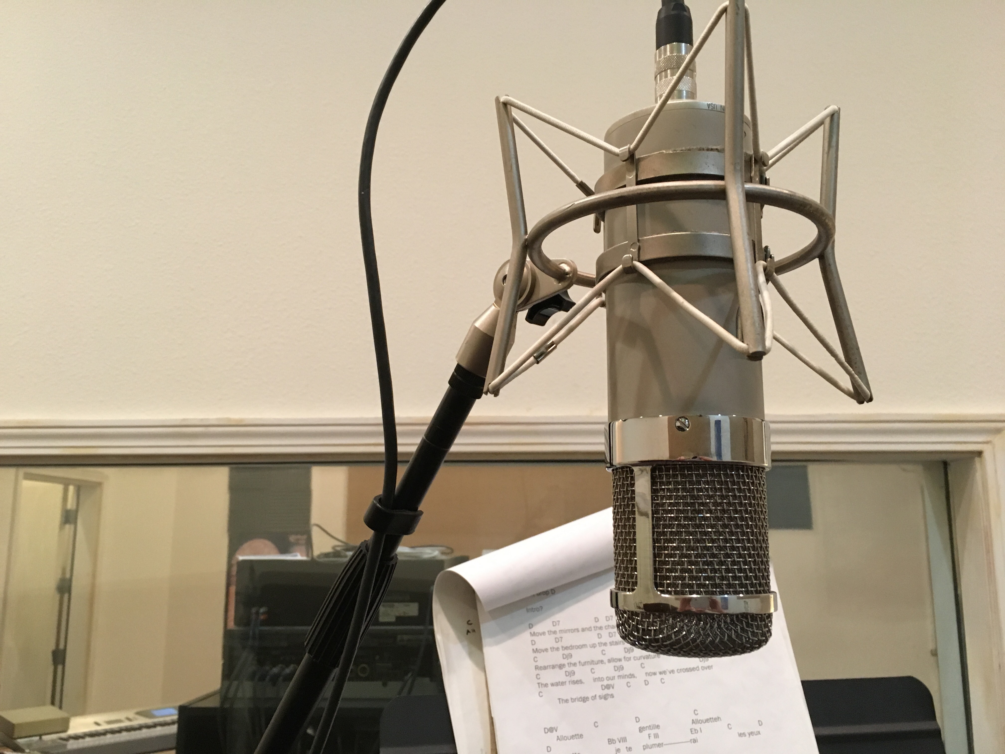 Professional Recording Microphone